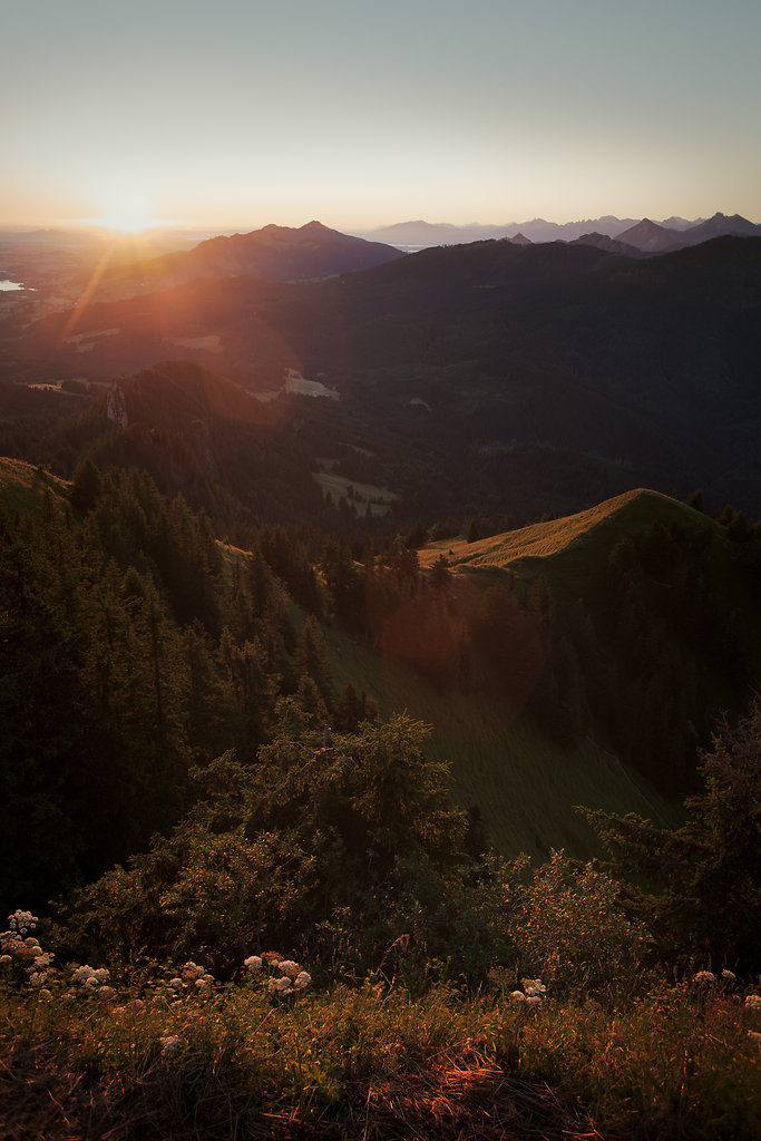 wwwjuliastuebnerde-LS-02.jpg