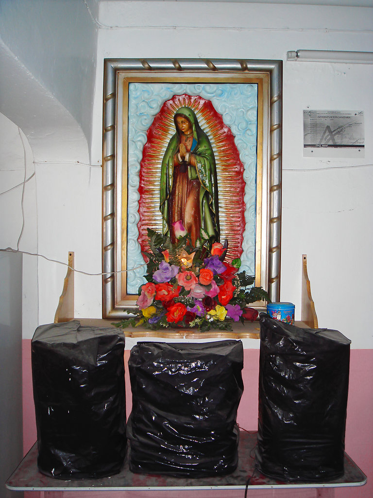 Mexico Yucatan