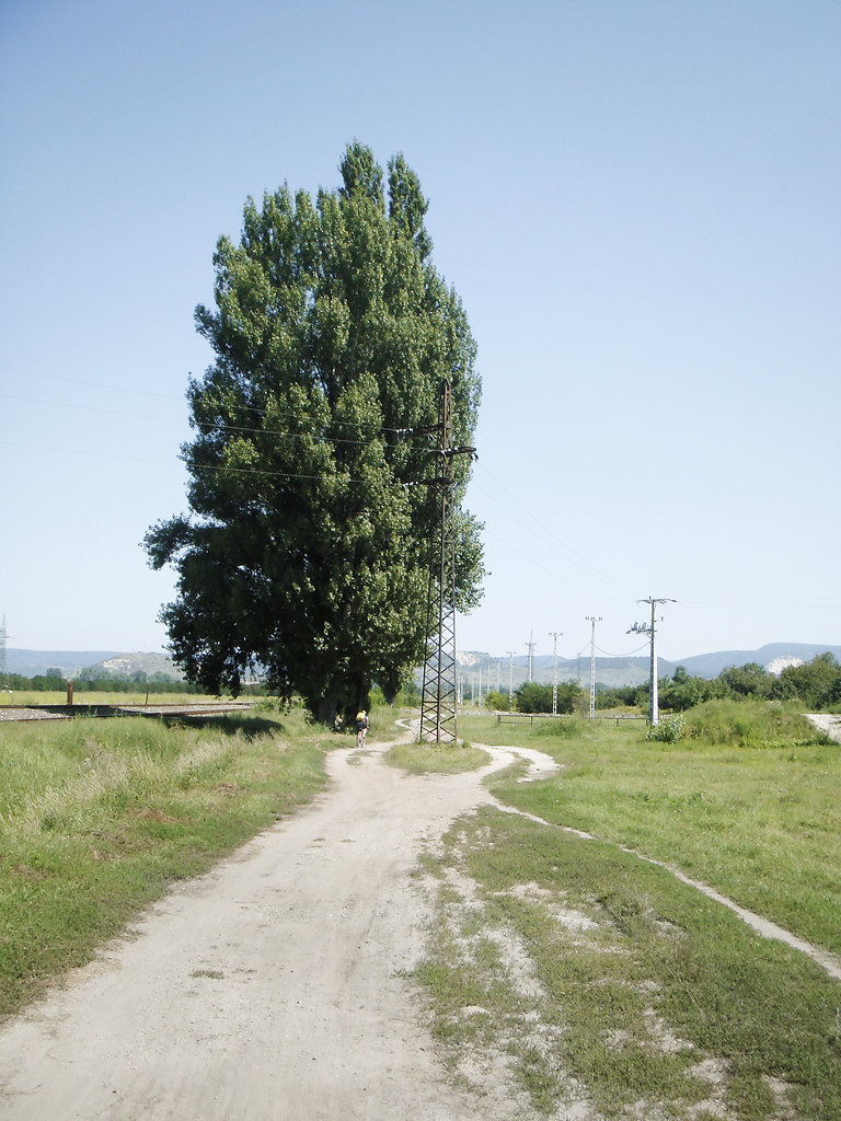 wwwjuliastuebnerde-R-34.jpg