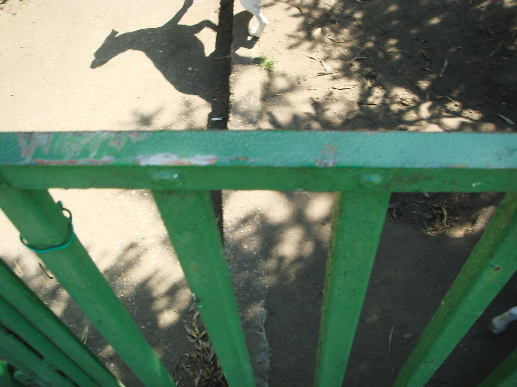 wwwjuliastuebnerde-R-35.jpg